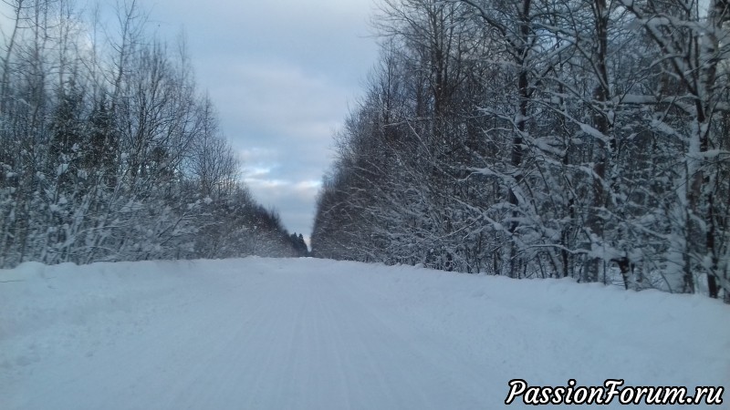 Снег...Снег...и на моей работе и в природе...