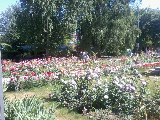 Выставка рукодельниц