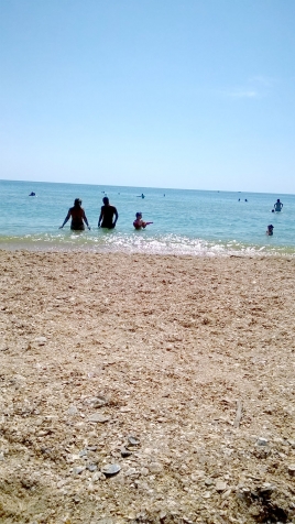 Листопад