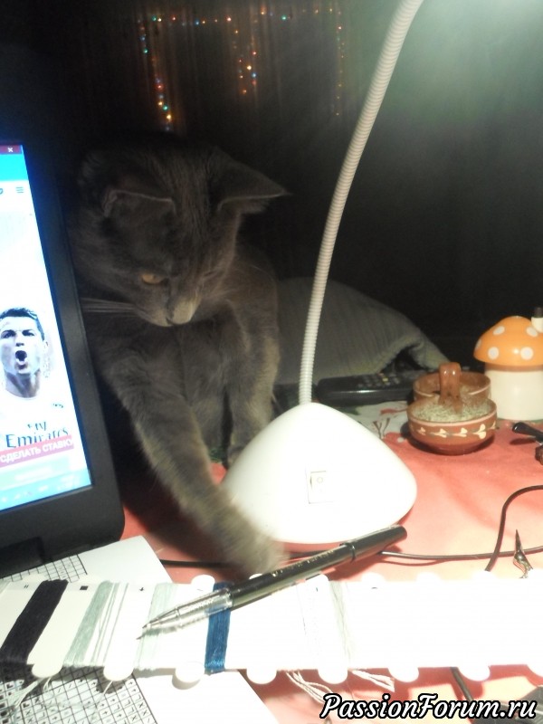 Про Кота Котовича, про Петра Петровича и про подарок к Новому году.