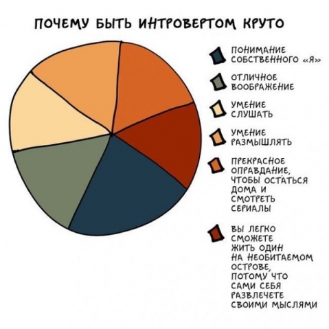 Если вы интроверт