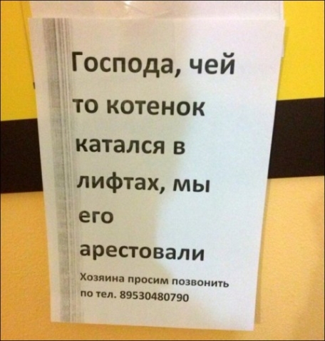 Подолжаем юморить.