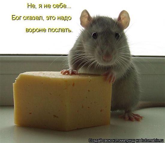 Очередная котоматрица
