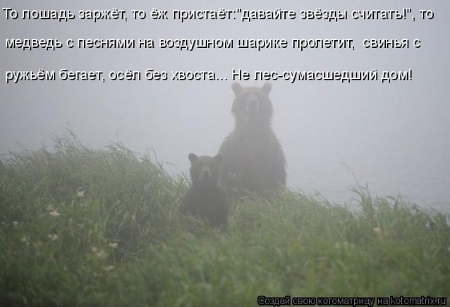 Очередная котоматрица