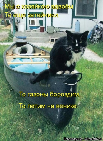 Очередная котоматрица