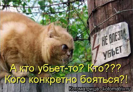 И опять очередная котоматрица