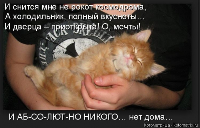 И опять очередная котоматрица
