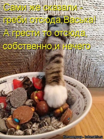 И опять очередная котоматрица