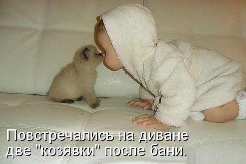 Животные и юмор