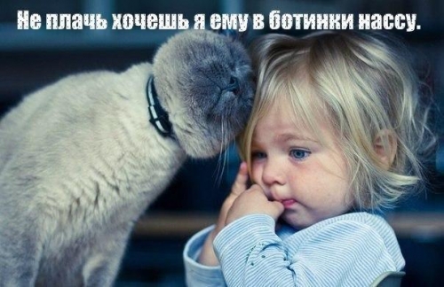 Животные и юмор