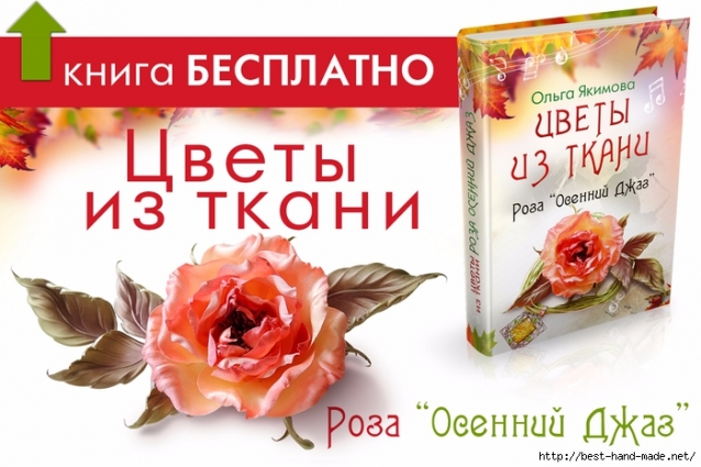 Книга по изготовлению цветов из ткани (из интернета)