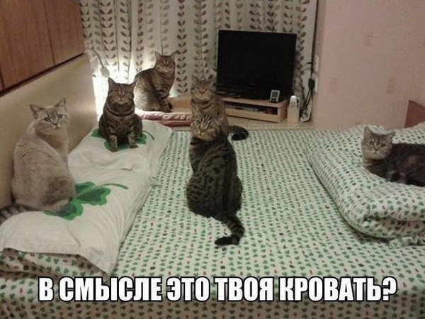 Картинки со смыслом - подборка из интернета