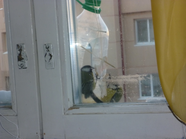 Небольшая экскурсия по зимнему городу