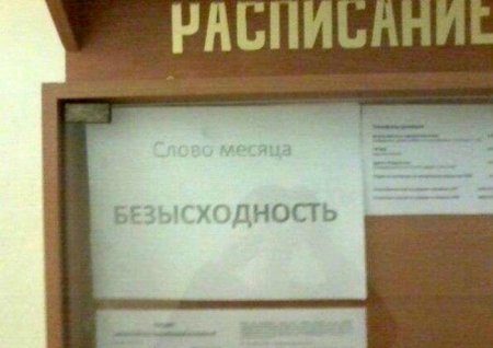Юмор
