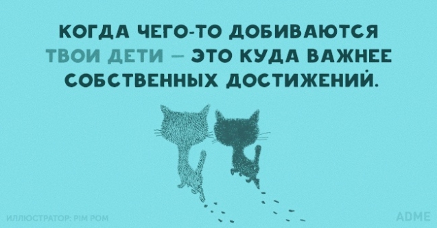 О диете и о котах наших с юмором