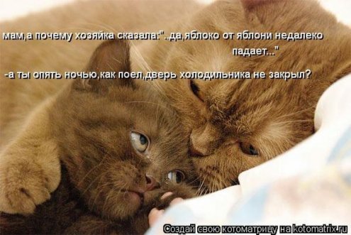 Картинки со смыслом и это "наши" животные