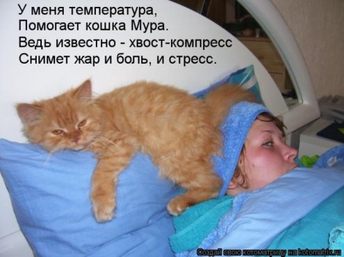 Картинки со смыслом и это "наши" животные