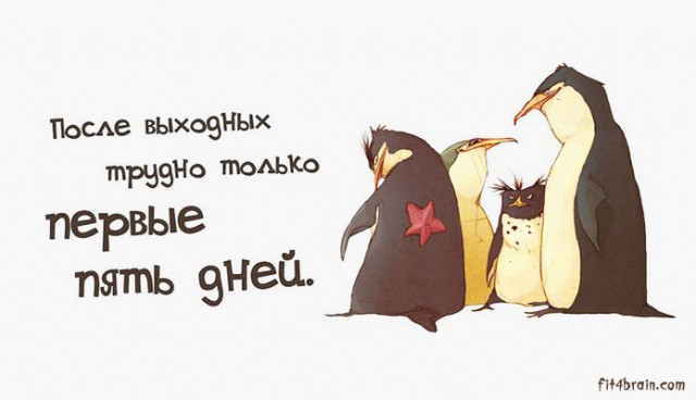 Немного забавной философии, Фитнес для мозга