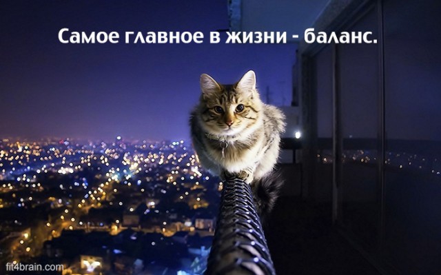 Немного забавной философии, Фитнес для мозга