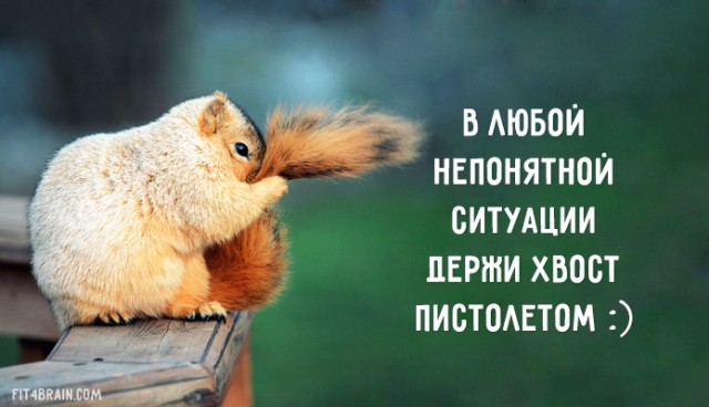 Немного забавной философии, Фитнес для мозга