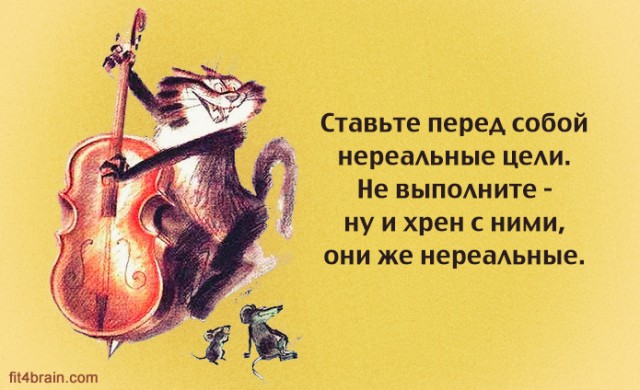 Немного забавной философии, Фитнес для мозга