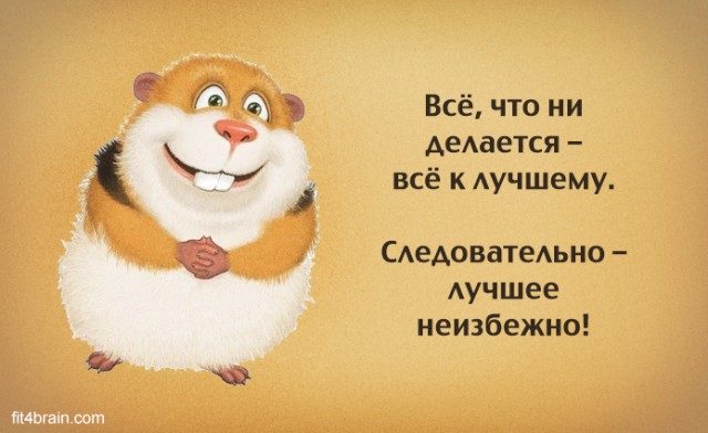 Немного забавной философии, Фитнес для мозга