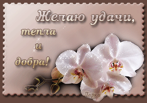 Сегодня день рождения у нашей искрометной и неунывающей Леночки - lenkapenka