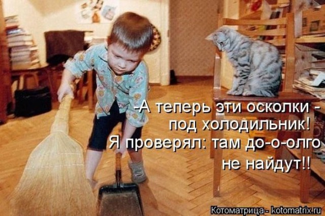 Животные и смешные моменты