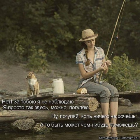 Животные и смешные моменты