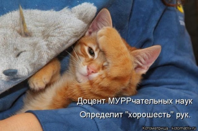 Животные и смешные моменты