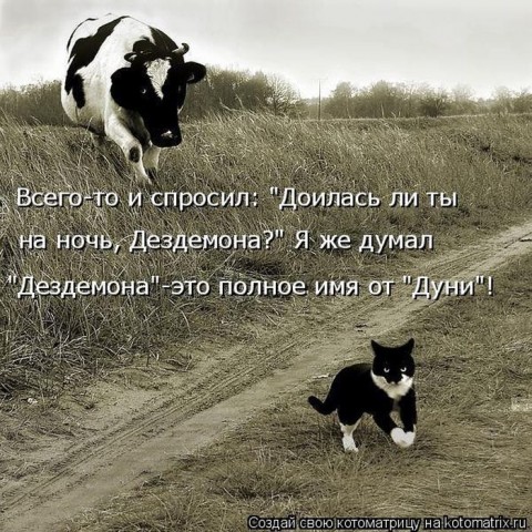 Животные и смешные моменты