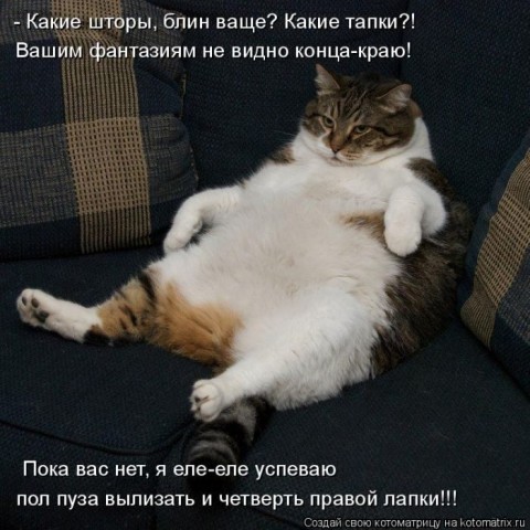 Животные и смешные моменты