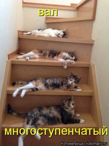 Смешные картинки с животными