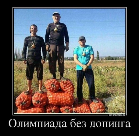 Смешные картинки с животными