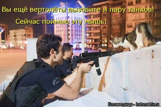 Смешные картинки с животными