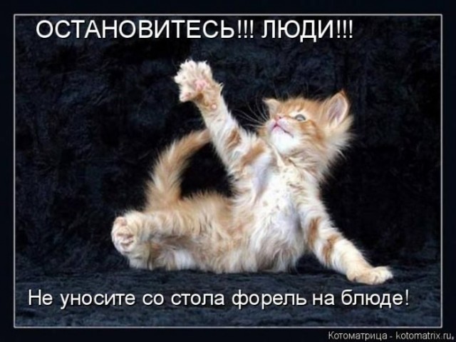 Смешные картинки с животными