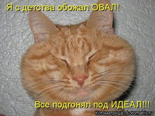 Смешные картинки с животными