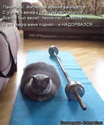Смешные картинки с животными