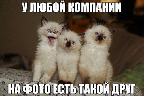 Немного юмора, анекдотов, смешных фото и улетных картинок