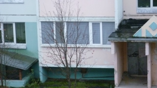 А из моего окошка ... не лирические фото