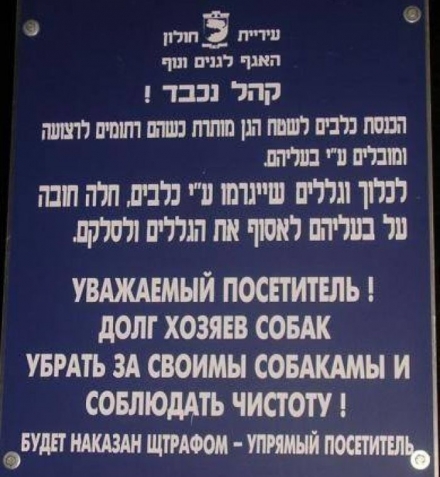 Юмор и еще юморные переводы