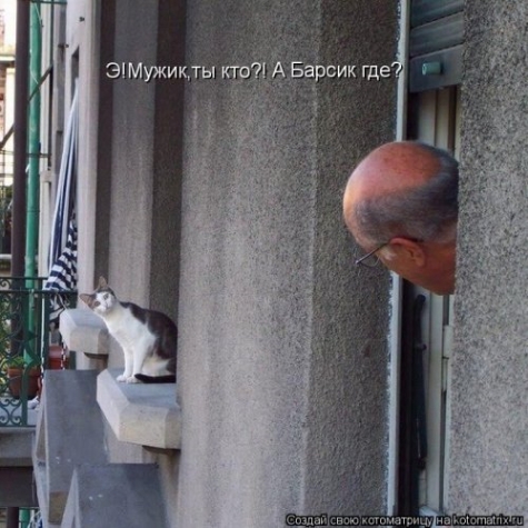 Котоматрица . Юмор (из интернета)