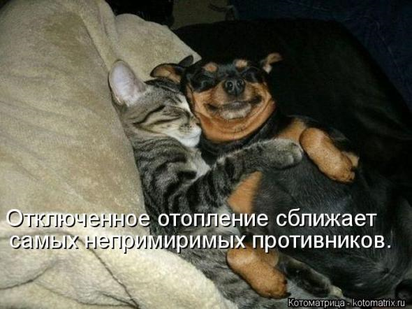 Очередная порция юмора