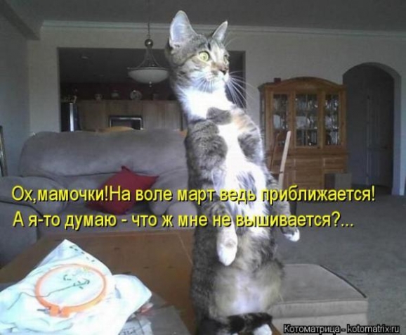 Очередная порция юмора