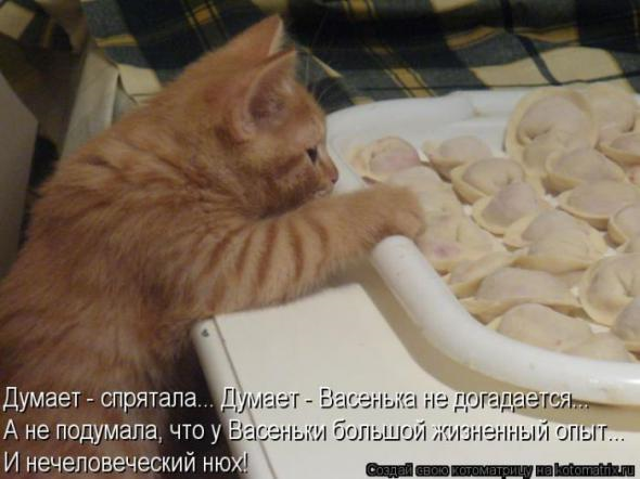 Очередная порция юмора