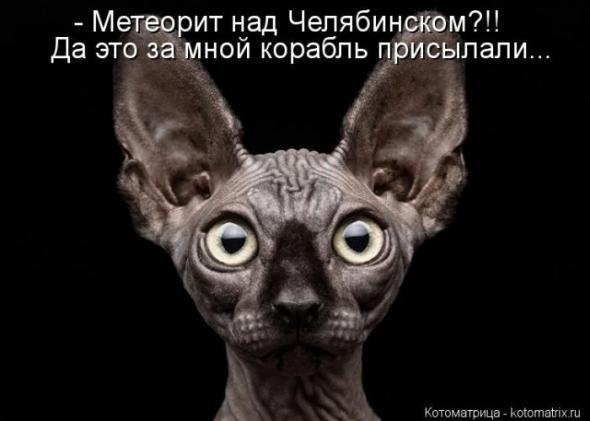 Очередная порция юмора