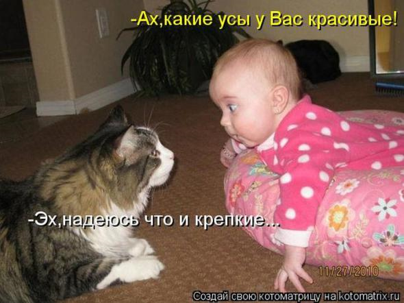 Очередная порция юмора