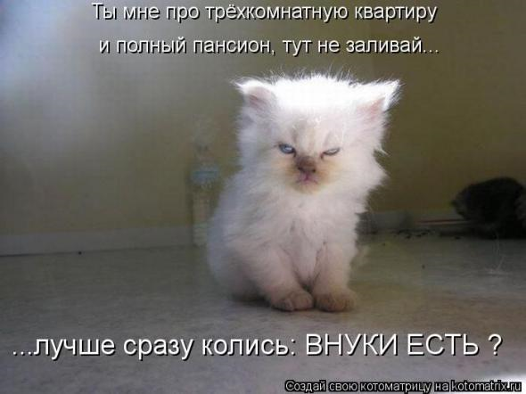 Очередная порция юмора