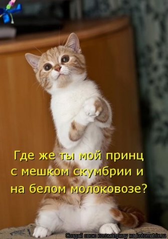 Очередная порция юмора