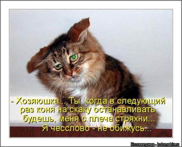 Очередная порция юмора